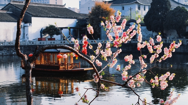 黛瓦鎖春秋，曲廊浮云影 春日水繪園：賞春好去處