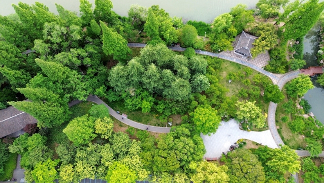 視頻 | 水清岸綠好生態(tài)！航拍濠東綠苑初夏美景
