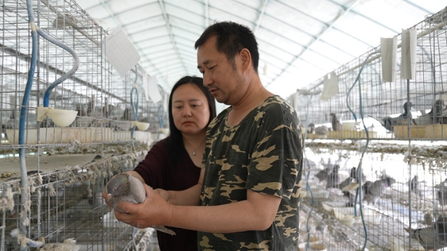 至4月底如東今年已開展大型農(nóng)業(yè)招商活動13場 年度計劃總投資達(dá)14.5億元
